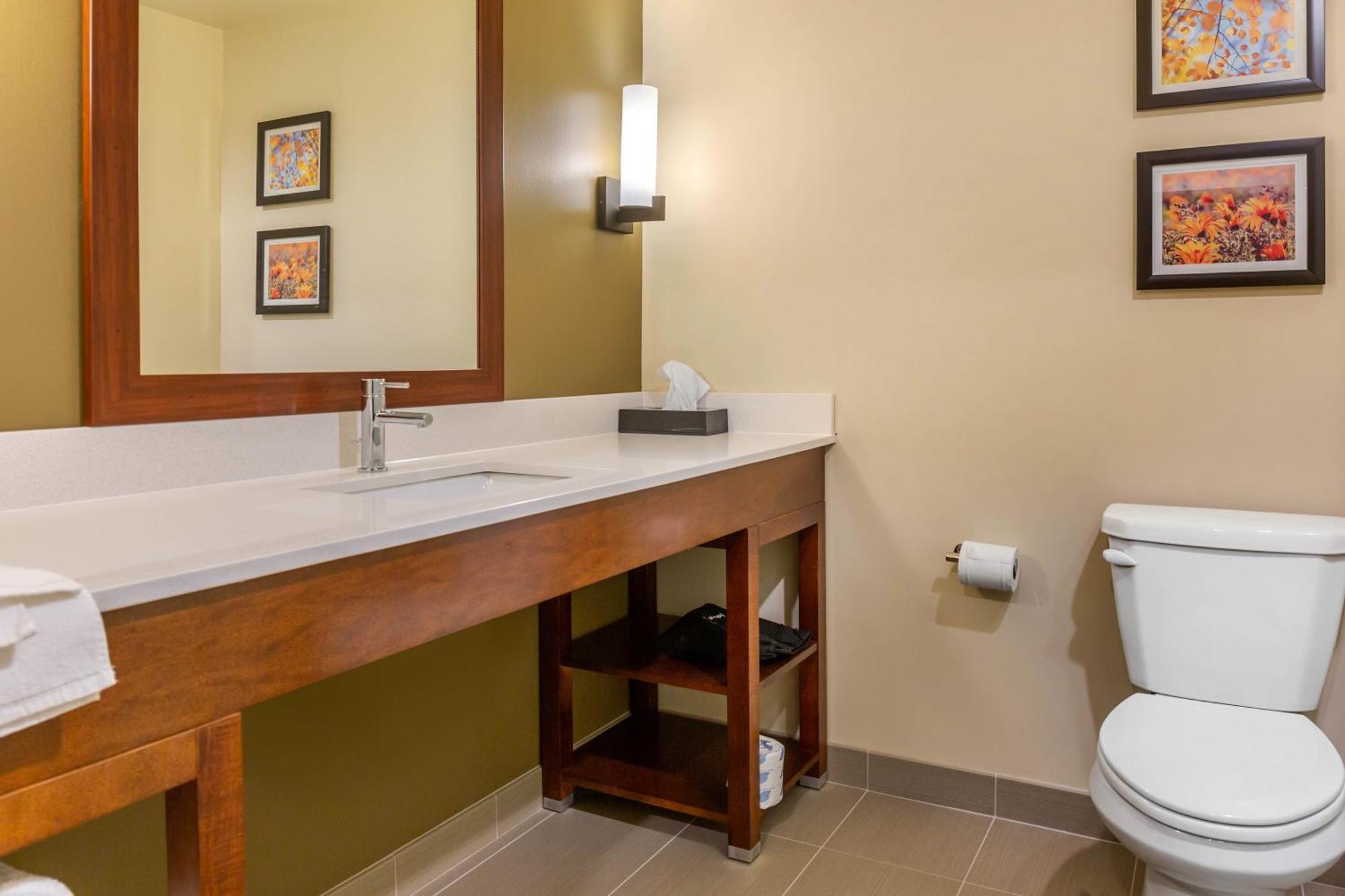 Comfort Inn & Suites Gap Amish Country エクステリア 写真